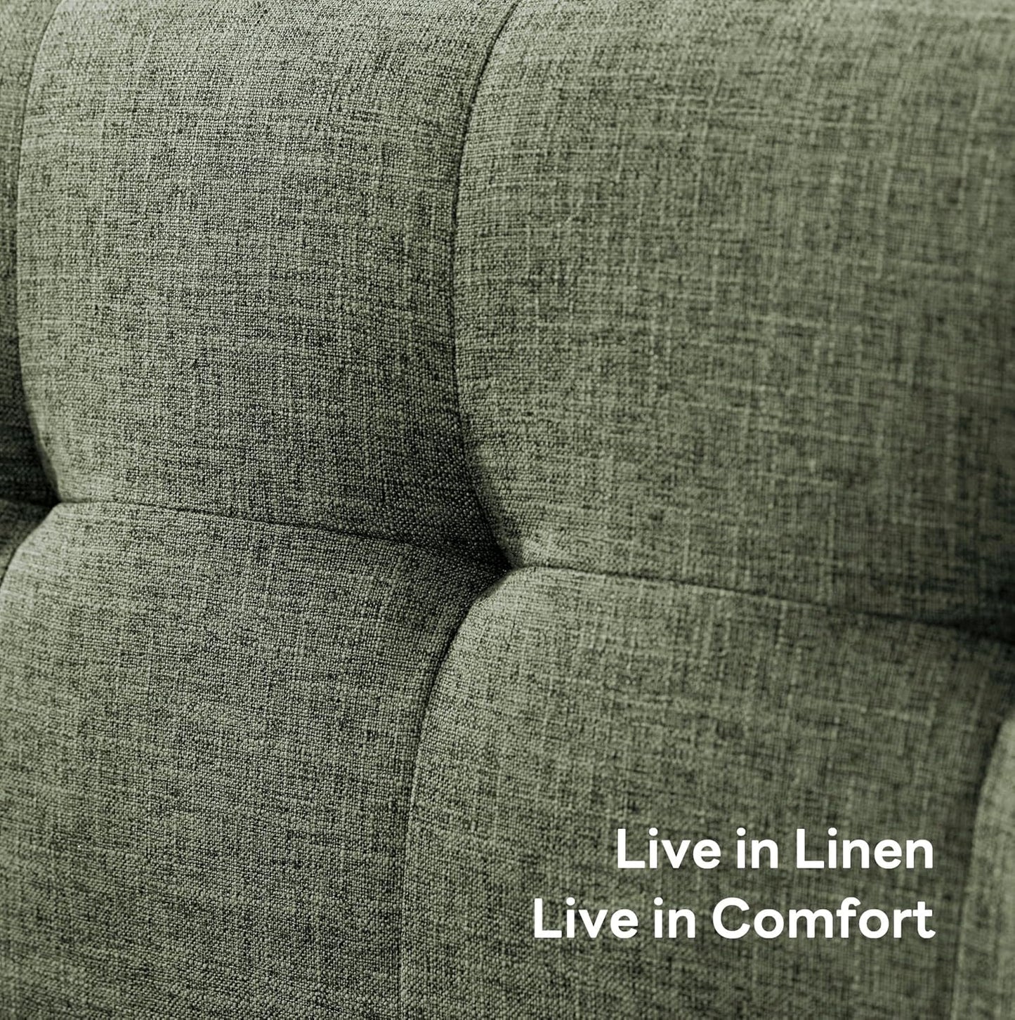 65.2" W Loveseat Sofa
