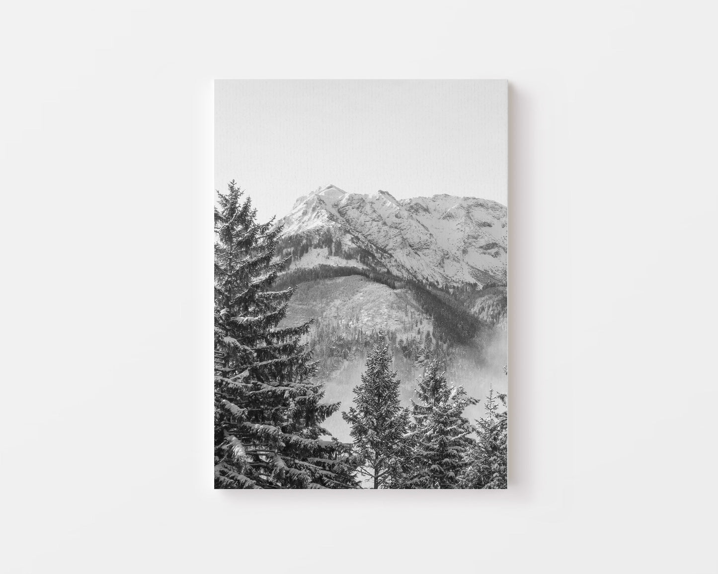 Black And White Mountains Canvas - Canva Home
