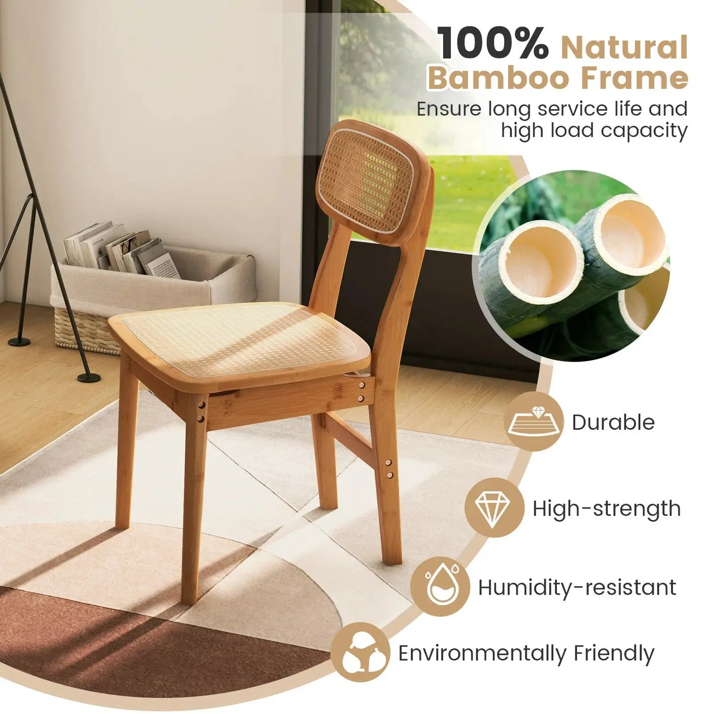 Rocha Mid Century Rattan Dining Chair (Set of 2) Canva Home