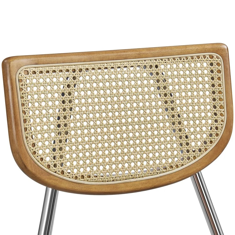 Keith Mid Century Rattan Dining Chair (Set of 2)