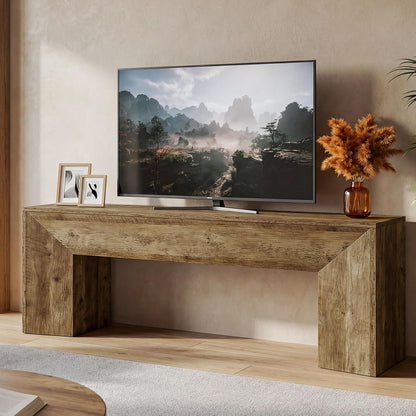 63" TV Stand with Hidden Metal Frame - Canva Home