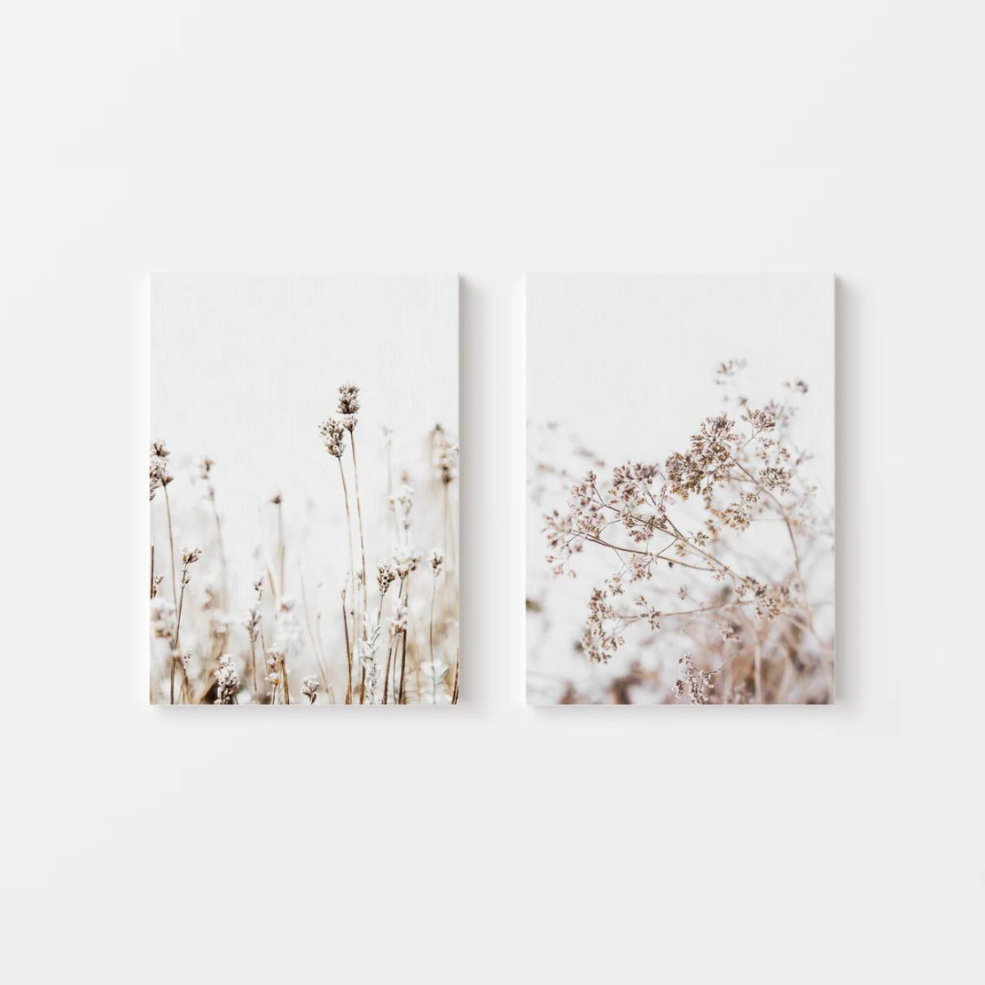 Pampas Grass Canvas