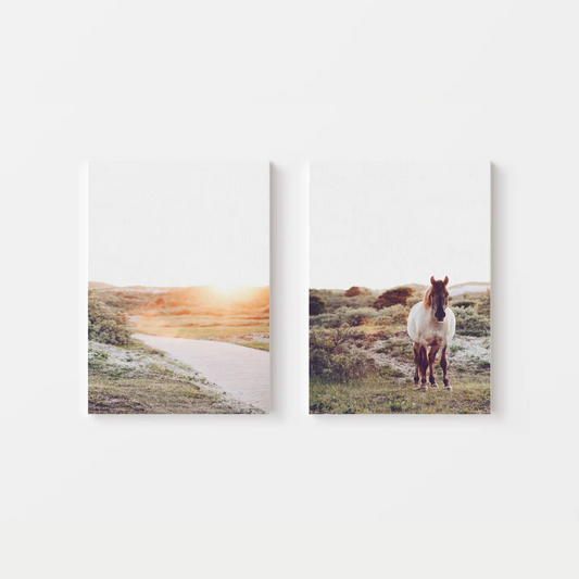 Sunset Horse Canvas