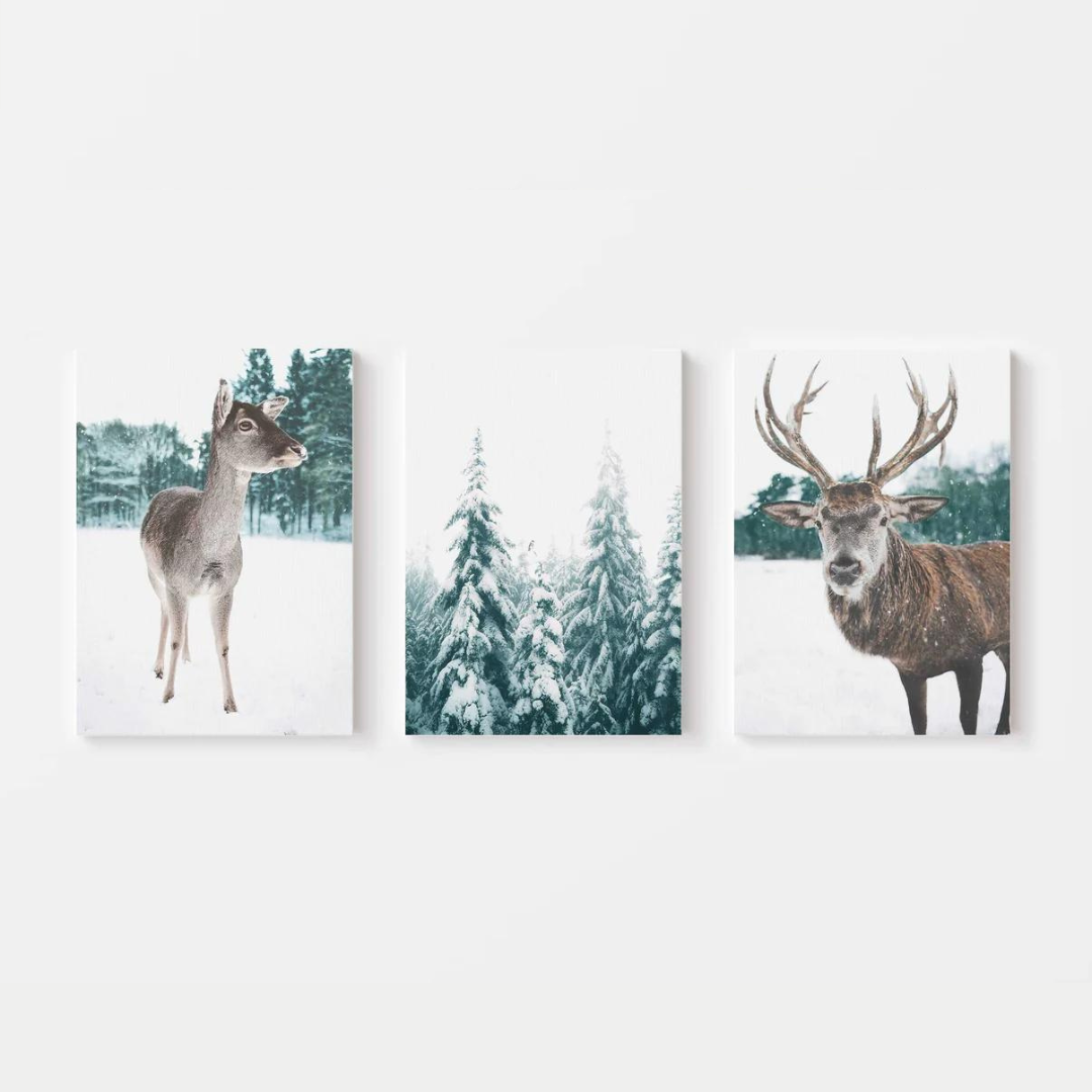 Winter Deer Canvas