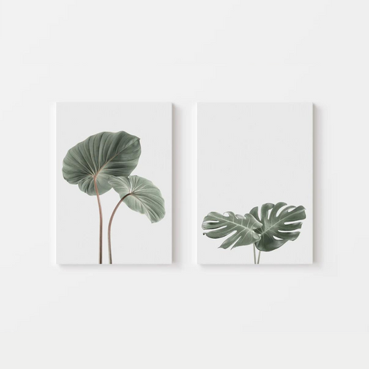 Monstera Canvas