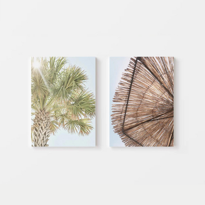 Palm Umbrella Canvas