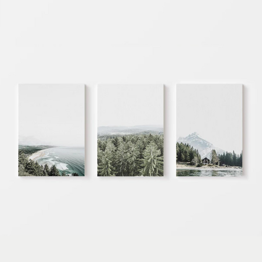 Nature Pine Trees Canvas