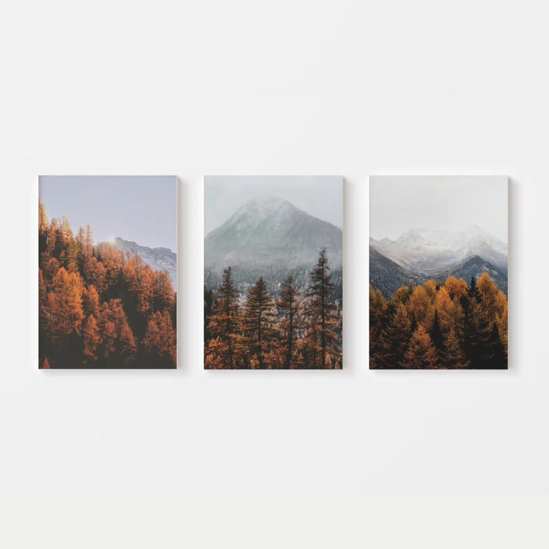 Autumn Forest Canvas