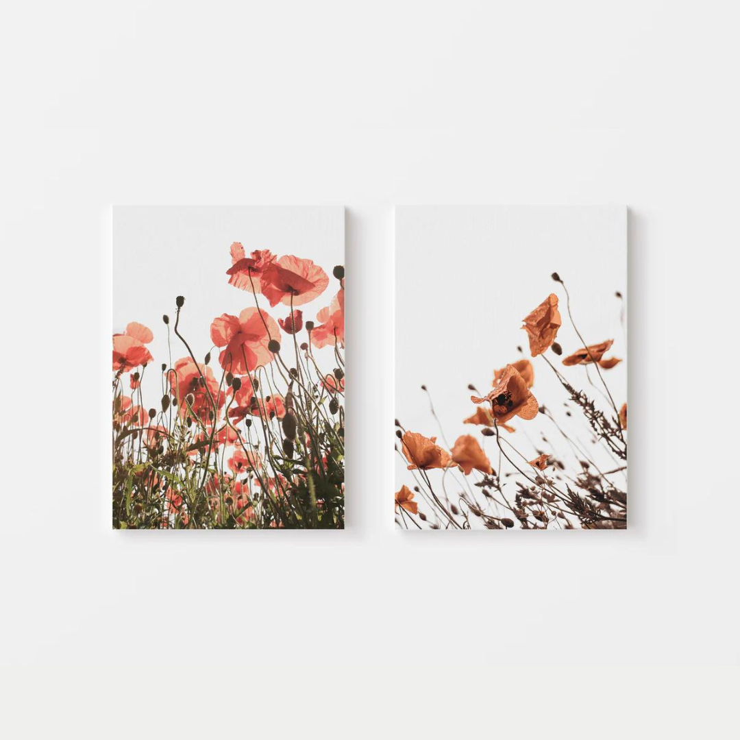 Red Poppies Canvas