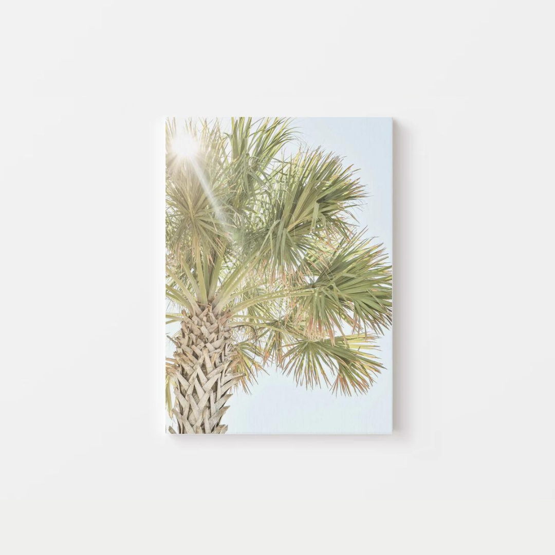 Palm Umbrella Canvas