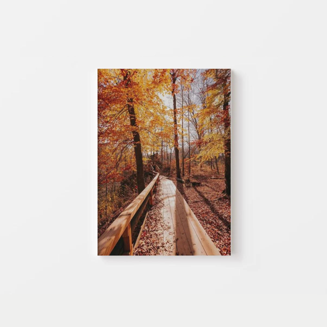 Fall Forest Canvas