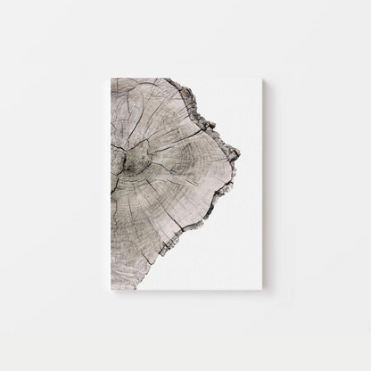 Tree Rings Canvas