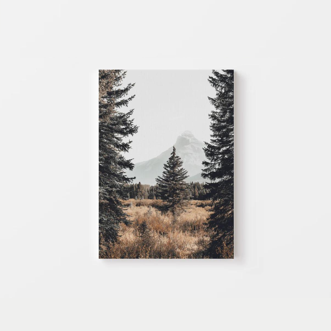 Nature Pine Tree Canvas