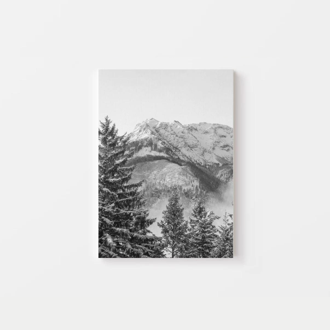 Black And White Mountains Canvas