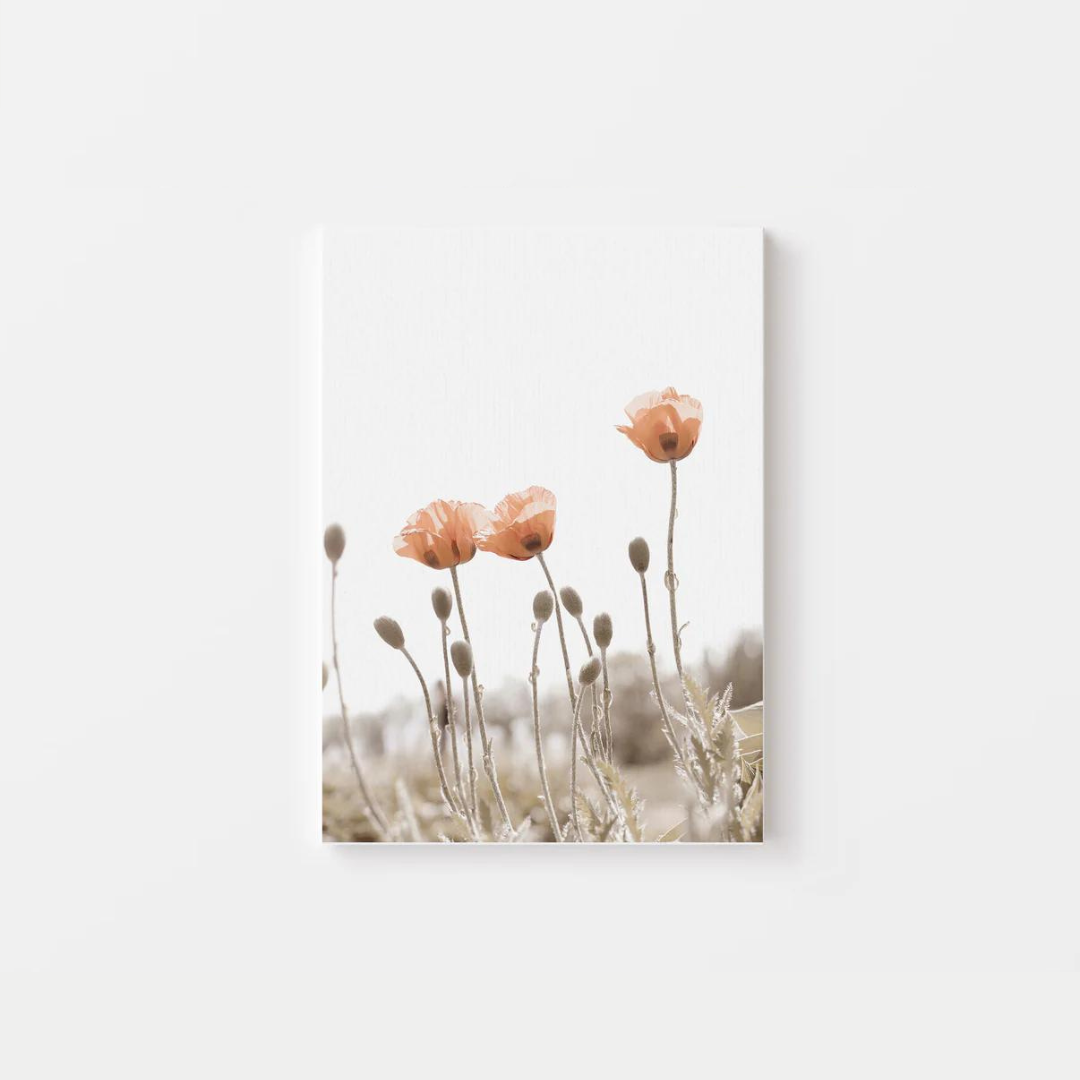 Minimalist Poppies Canvas