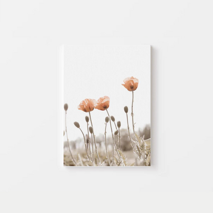 Minimalist Poppies Canvas