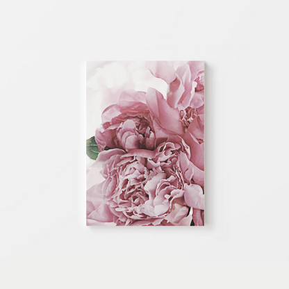 Peonies Canvas