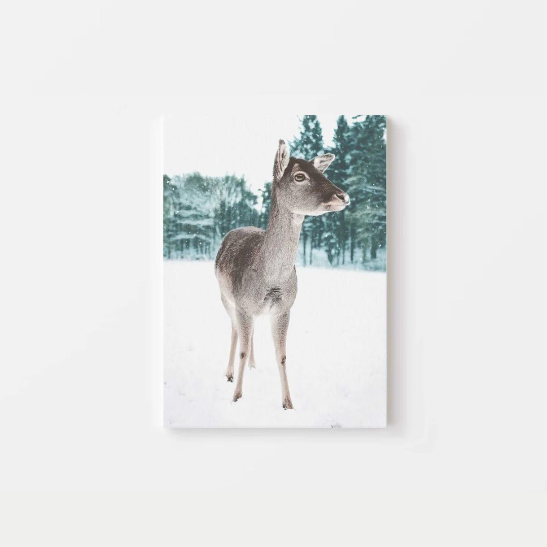 Winter Deer Canvas