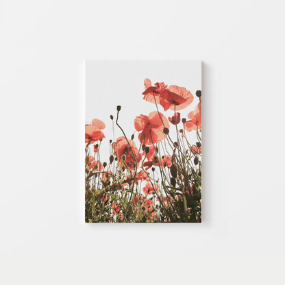 Red Poppies Canvas