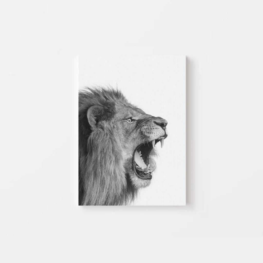 Black And White Lion Canvas