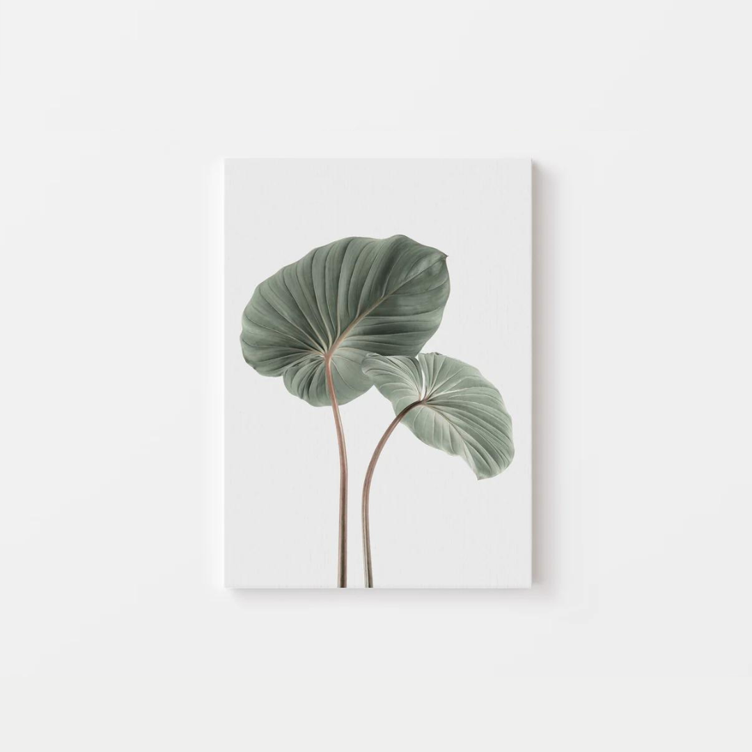 Monstera Canvas