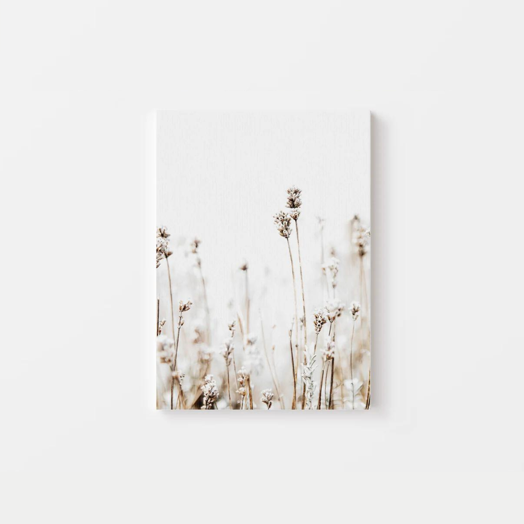 Pampas Grass Canvas