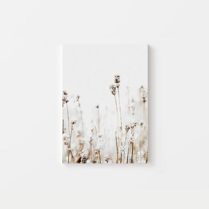 Pampas Grass Canvas