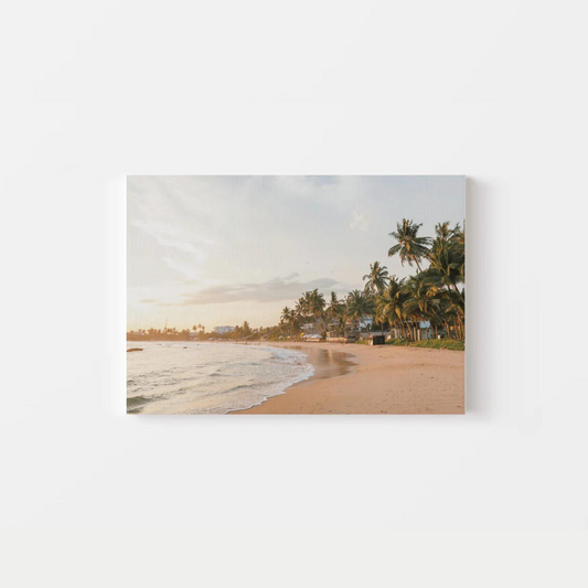 Sunset Palm Beach Canvas