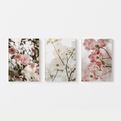 Cherry Blossom Flowers Canvas