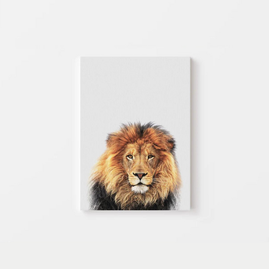 Lion Canvas