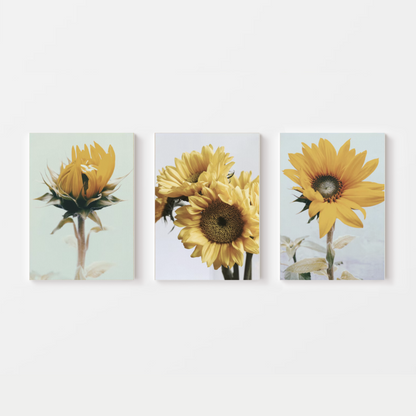 Botanical Sunflower Canvas