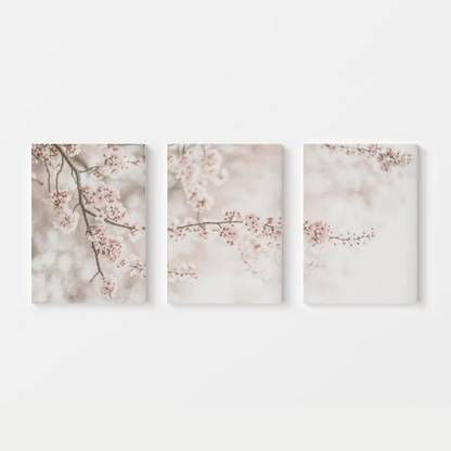 Bright Cherry Blossom Canvas