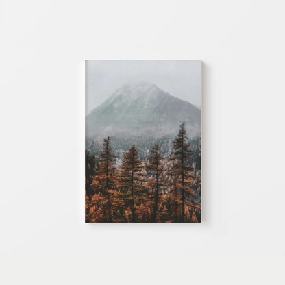 Autumn Forest Canvas