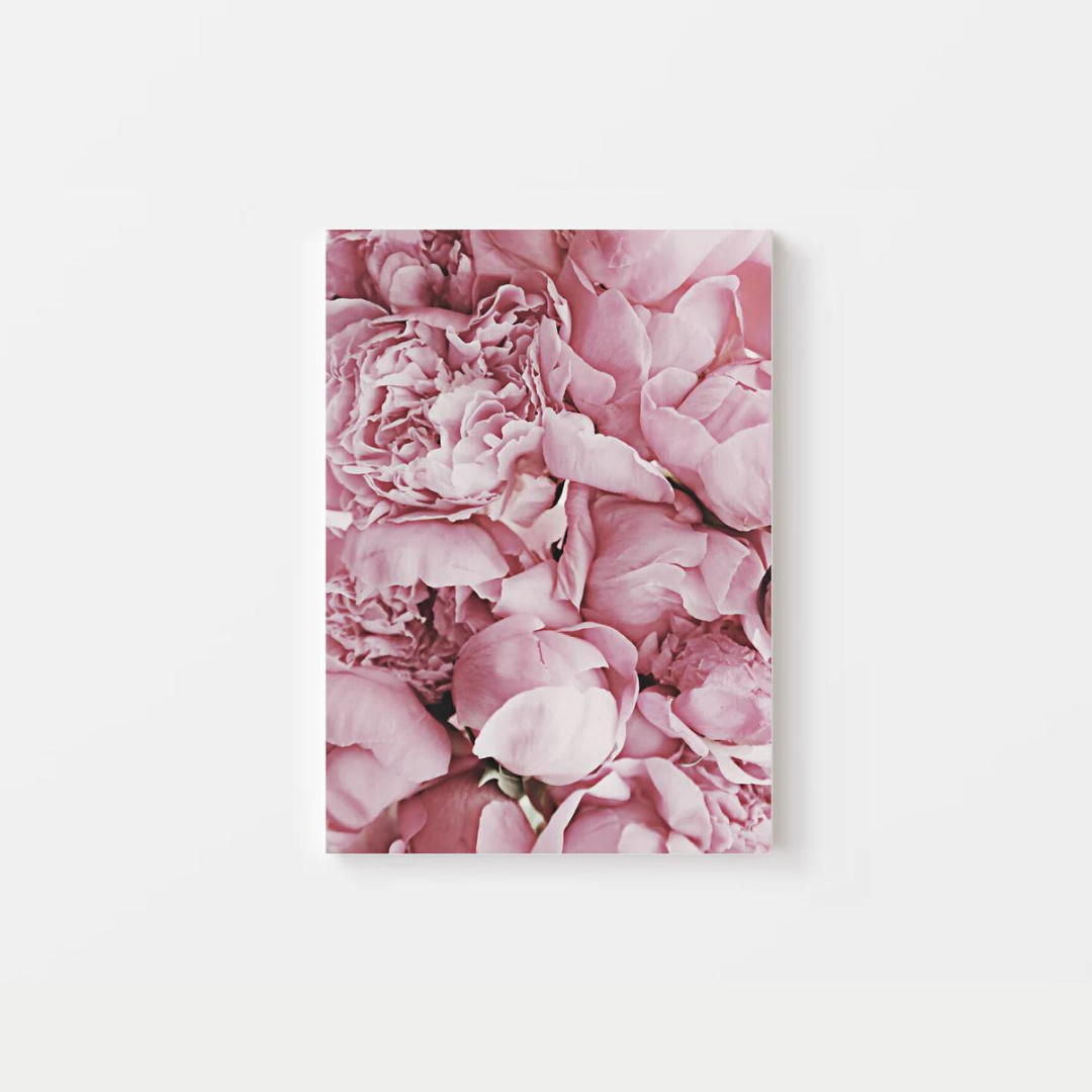 Peonies Canvas