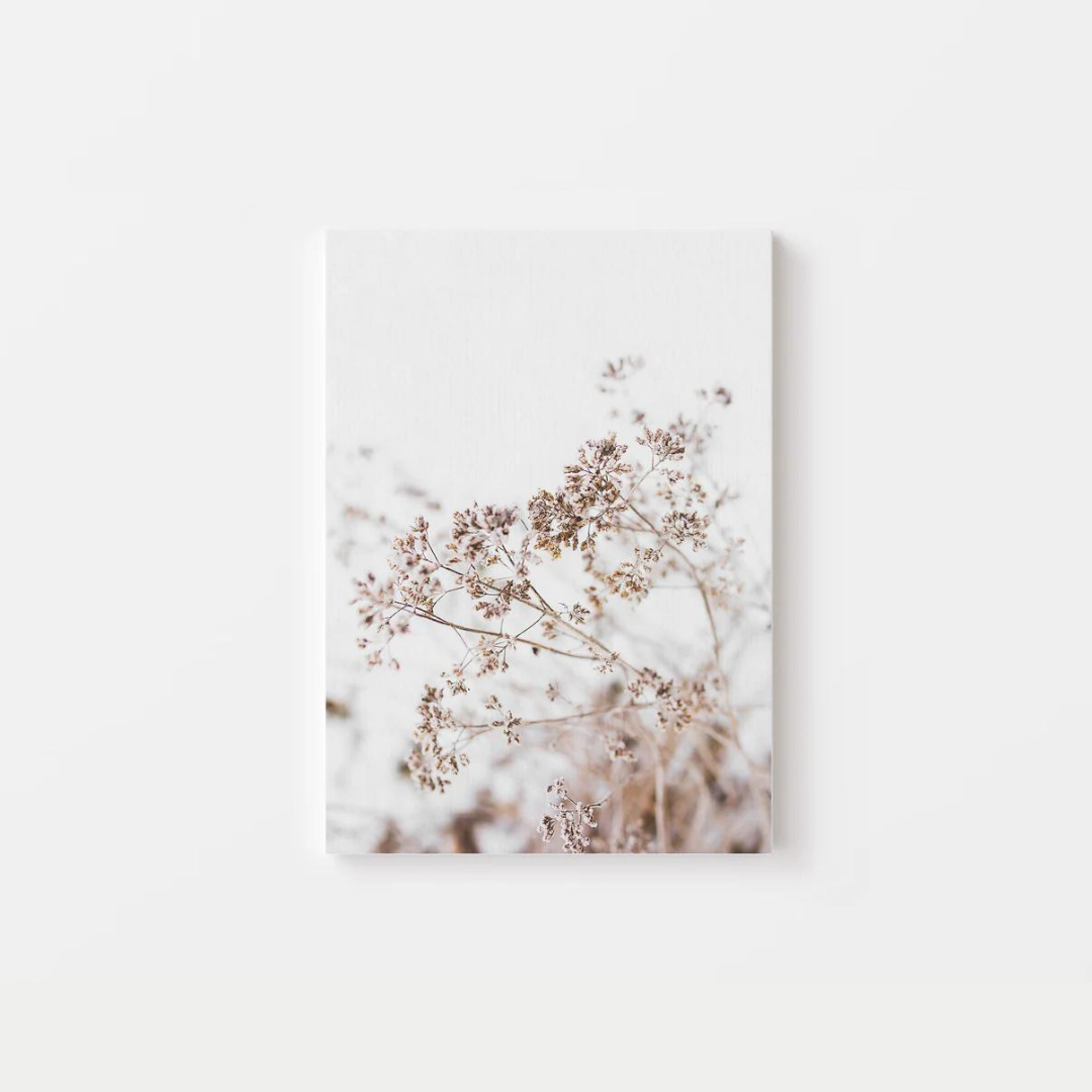 Pampas Grass Canvas