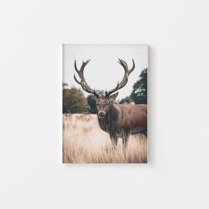 Autumn Deer Canvas