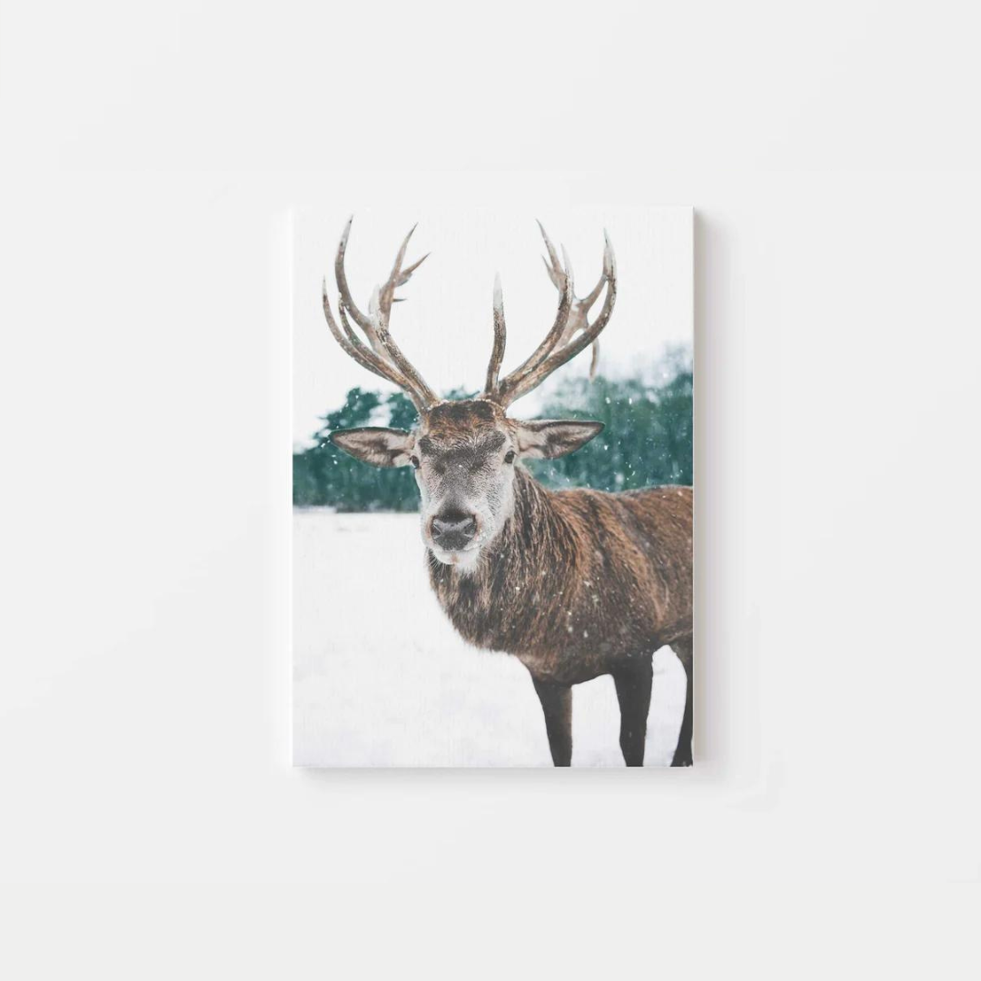 Winter Deer Canvas