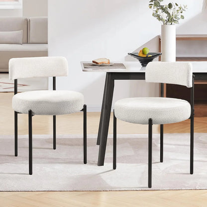 Wells Modern Dining Chair (Set of 2)