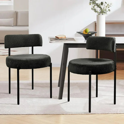 Wells Modern Dining Chair (Set of 2)