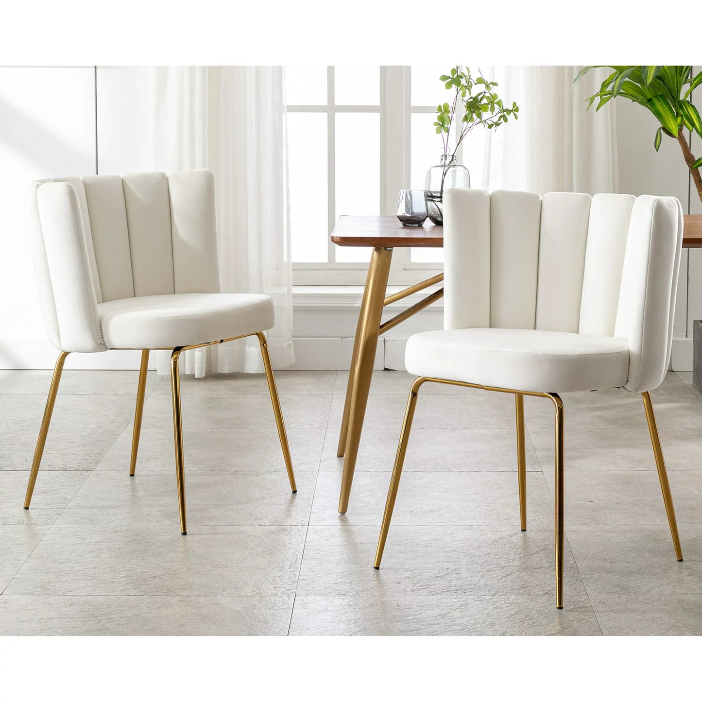 Waller Velvet Modern Dining Chair (Set of 2)