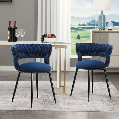 Petty Velvet Modern Dining Chair (Set of 2)