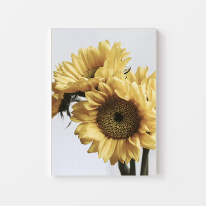 Botanical Sunflower Canvas