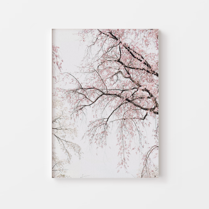 Sakura Cherry Blossom Canvas