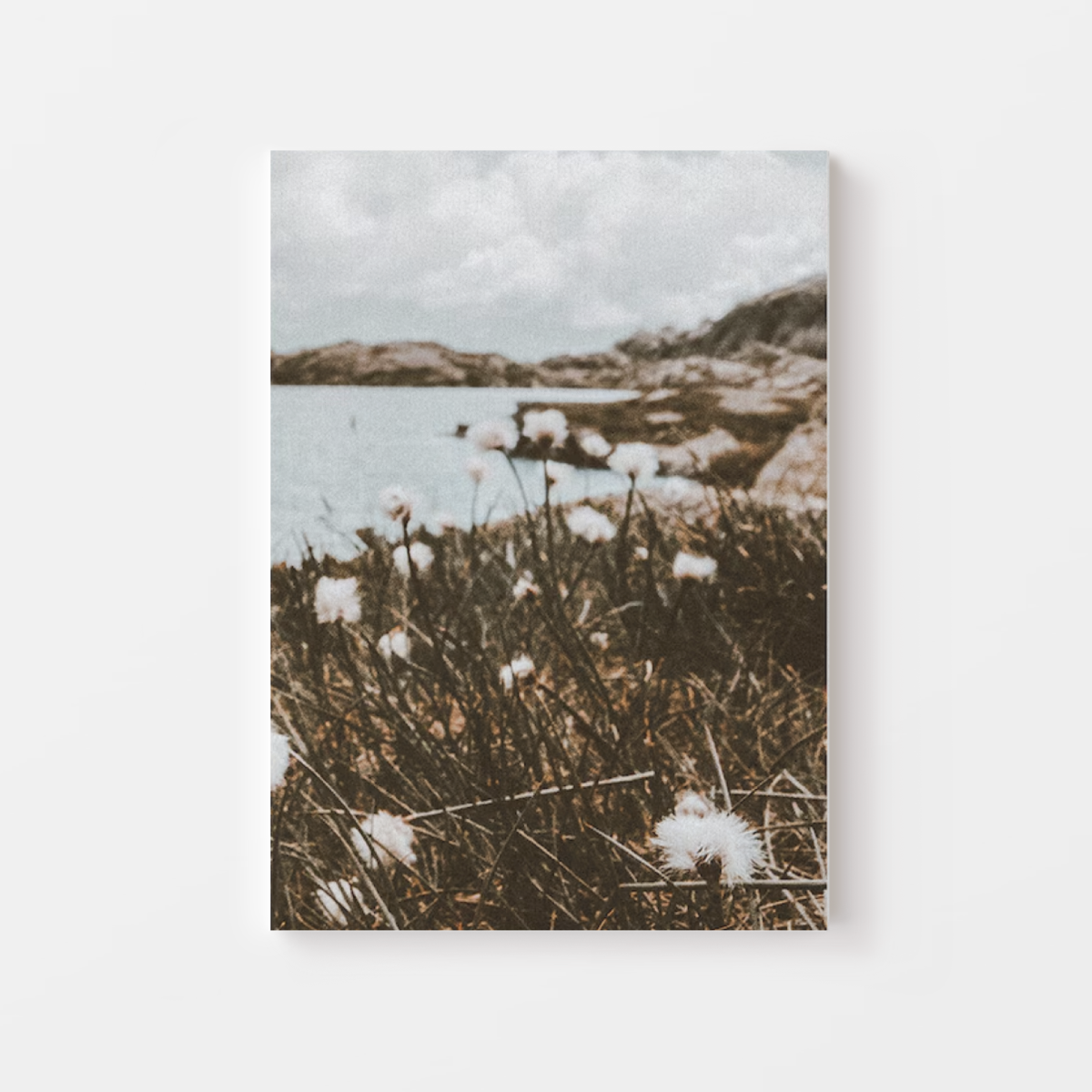 Dandelion Mountain Canvas