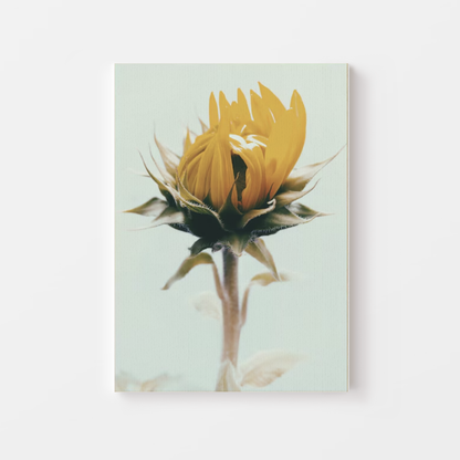 Botanical Sunflower Canvas