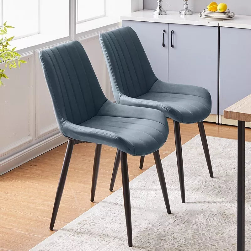 Ward Modern Dining Chair (Set of 2)