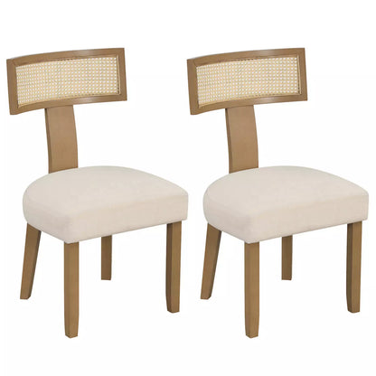 Rajan Mid Century Rattan Dining Chair (Set of 2)