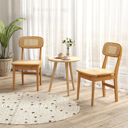 Rocha Mid Century Rattan Dining Chair (Set of 2)