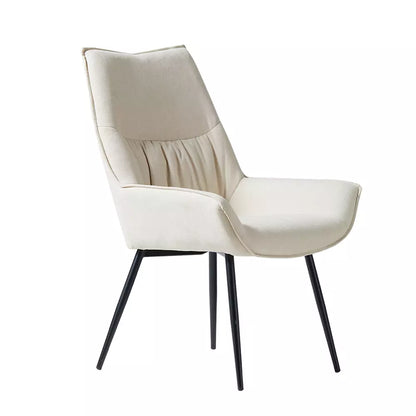 Skyla Modern Dining Chair (Set of 2)