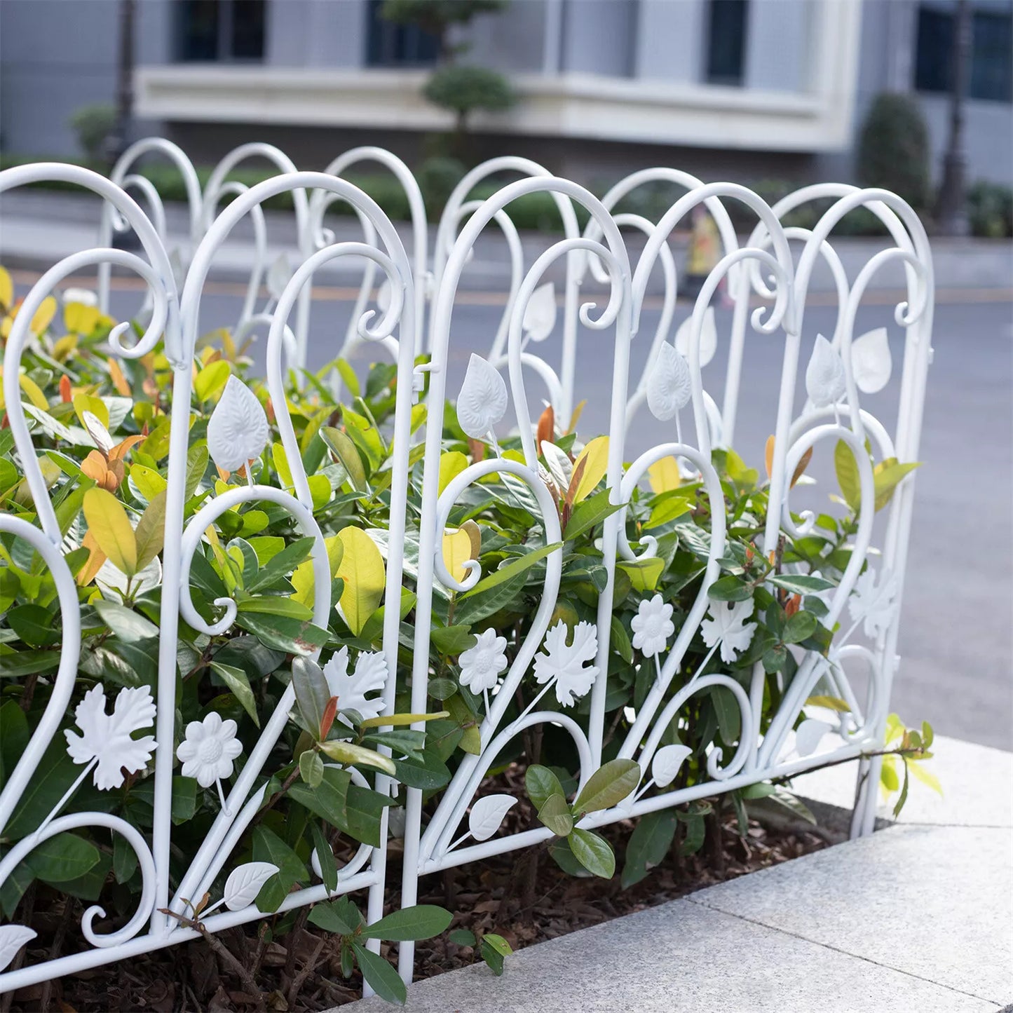 Maple Leaf Decorative Garden Fence